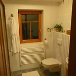 Апартаменты Apartma Krkonose