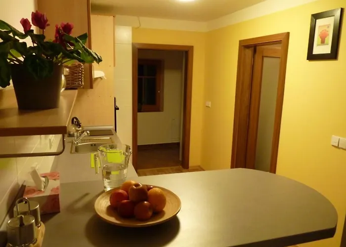 Apartma Krkonose 아파트 Martinice