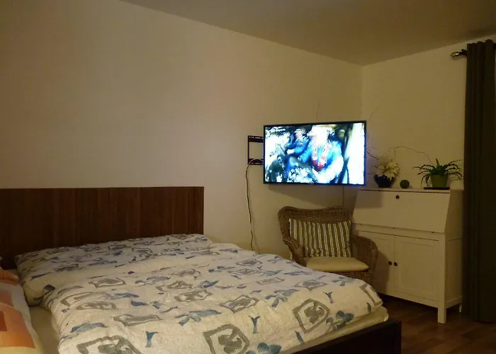 Apartma Krkonose דירה